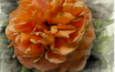 MI-FLOWER