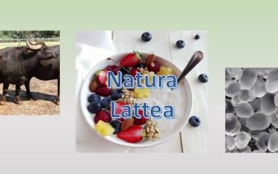 NATURALATTEA
