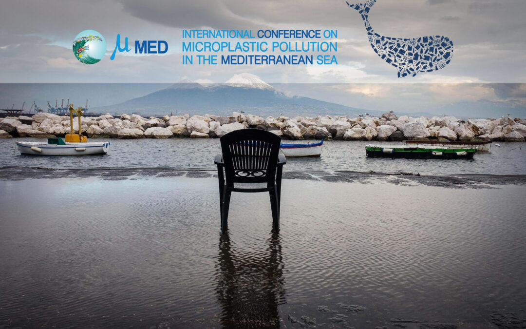 Microplastic Pollution in the Mediterranean Sea 2022